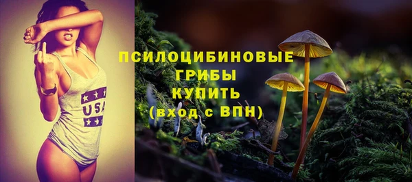 тгк Нефтекумск
