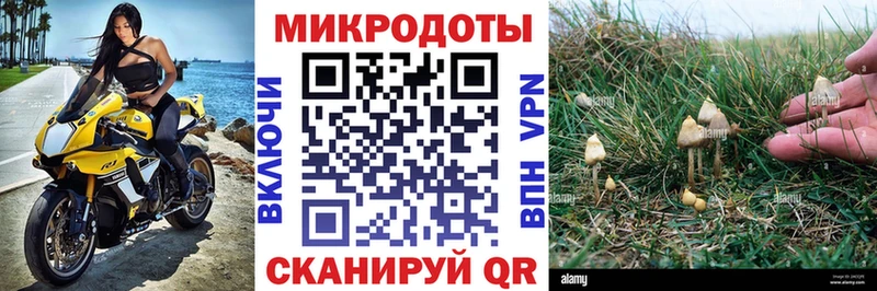 Галлюциногенные грибы Magic Shrooms кракен маркетплейс Адыгейск